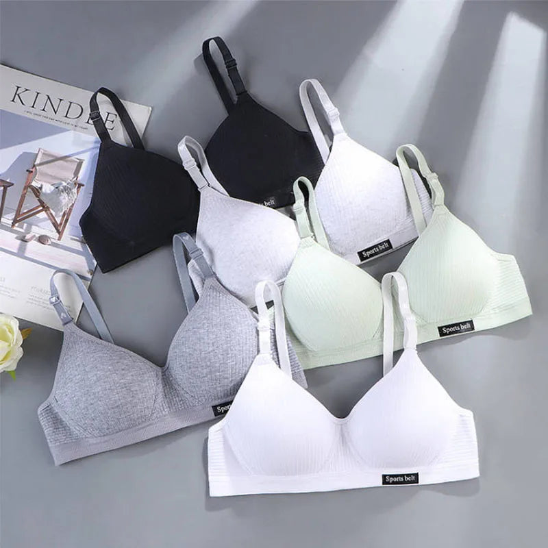 3-Pack Women's Wireless Bra – Seamless Thin Padded V-Shape Everyday Comfort Bra
