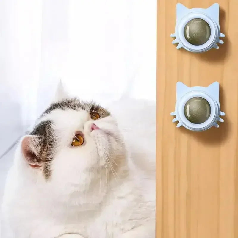 Interactive Catnip Wall Spin Ball for Cats