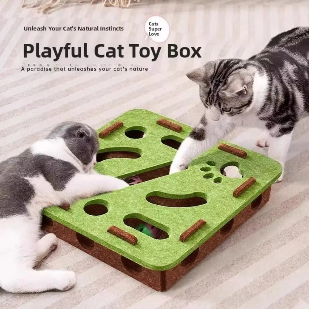 Cat Puzzle Scratch Box with Balls