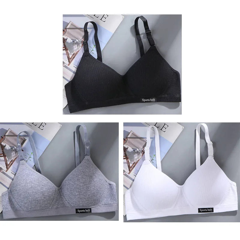 3-Pack Women's Wireless Bra – Seamless Thin Padded V-Shape Everyday Comfort Bra