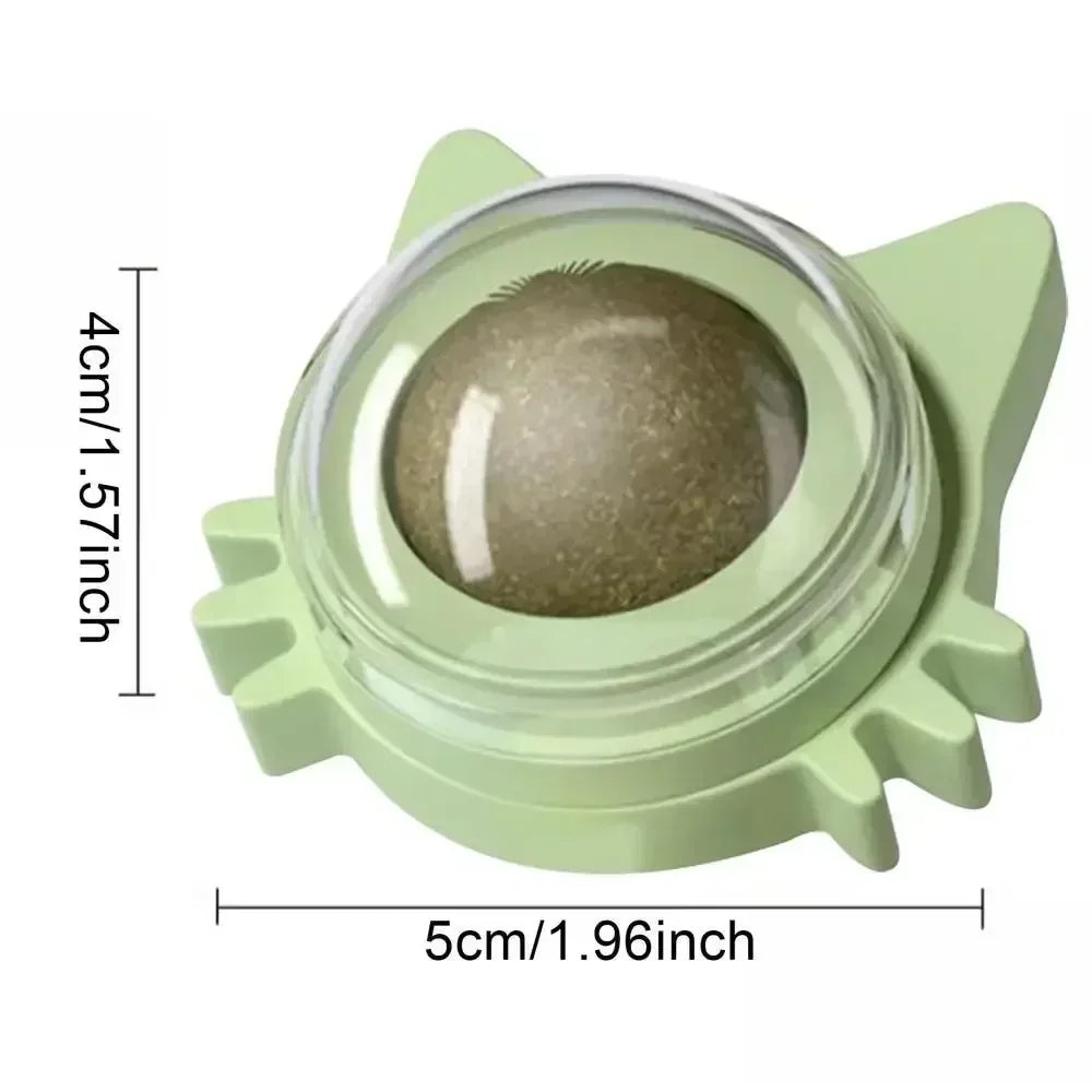 Interactive Catnip Wall Spin Ball for Cats