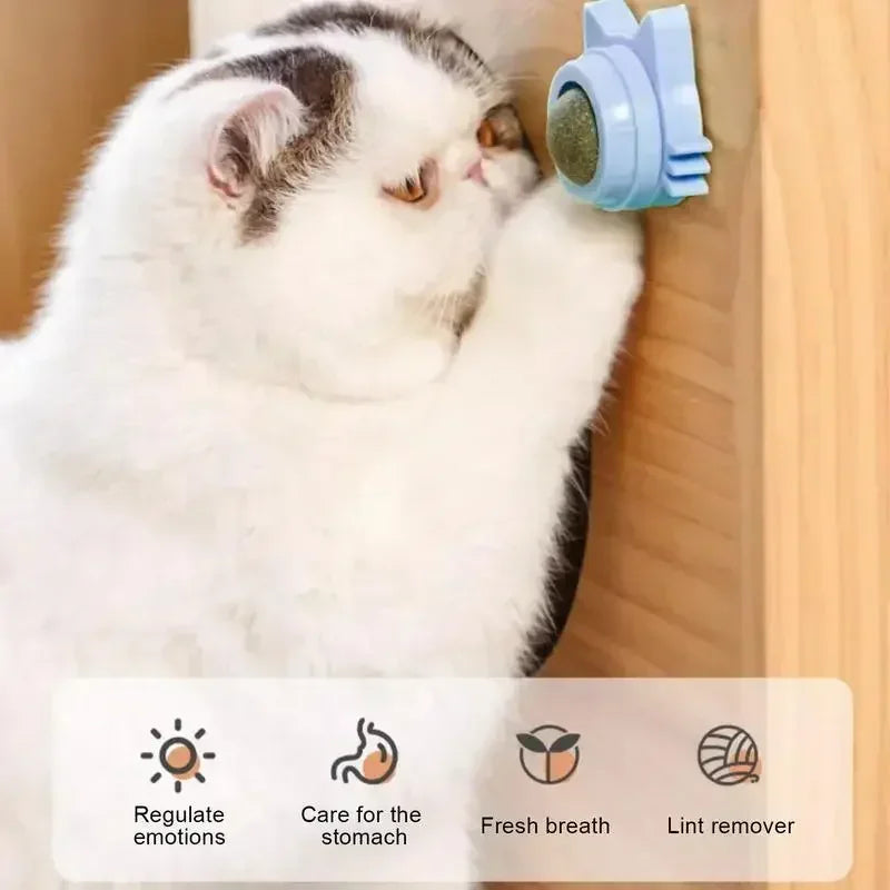 Interactive Catnip Wall Spin Ball for Cats