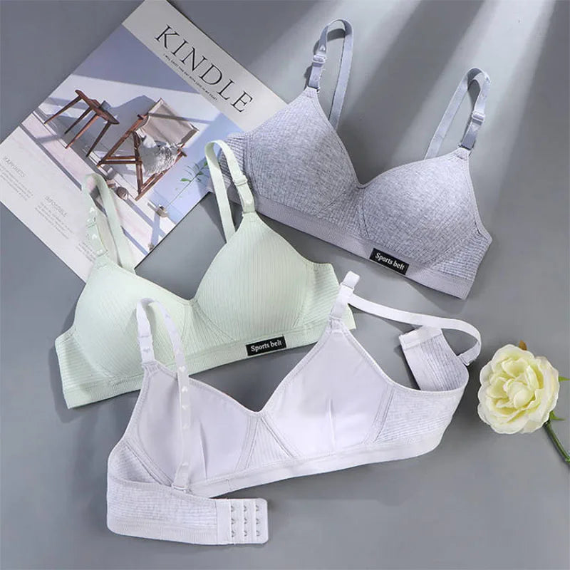 3-Pack Women's Wireless Bra – Seamless Thin Padded V-Shape Everyday Comfort Bra