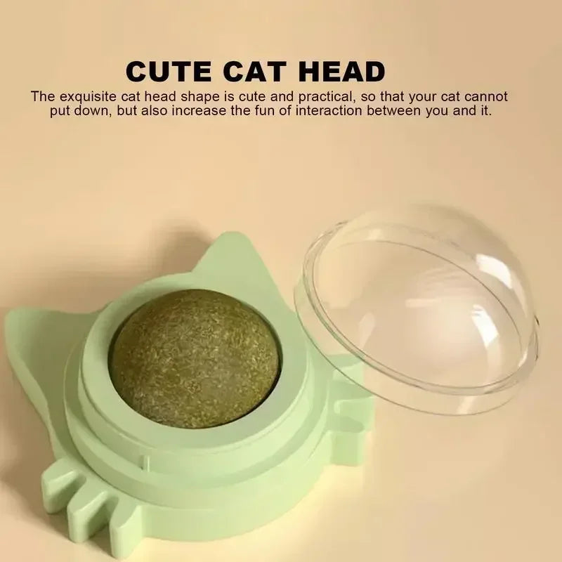 Interactive Catnip Wall Spin Ball for Cats